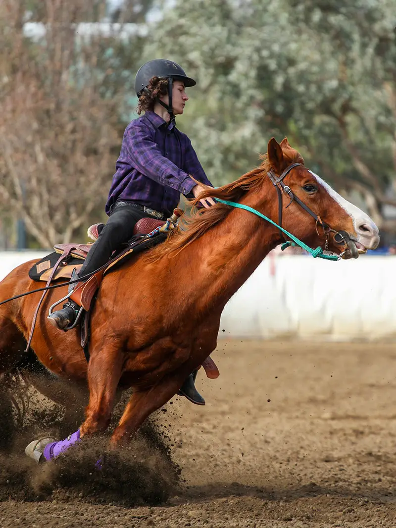 Rider at speed on a chestnut horse